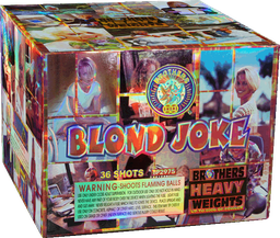 Blonde Joke 36 Shot